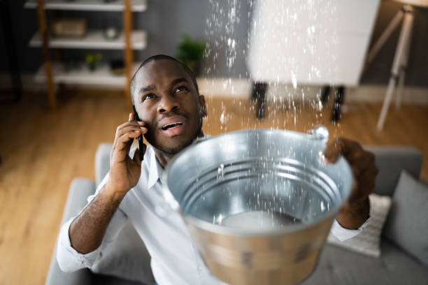 Best Water damage contractors near me  in Carpendale, WV