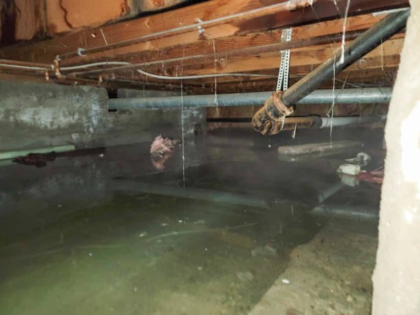 Water damage restoration process in Carpendale, WV