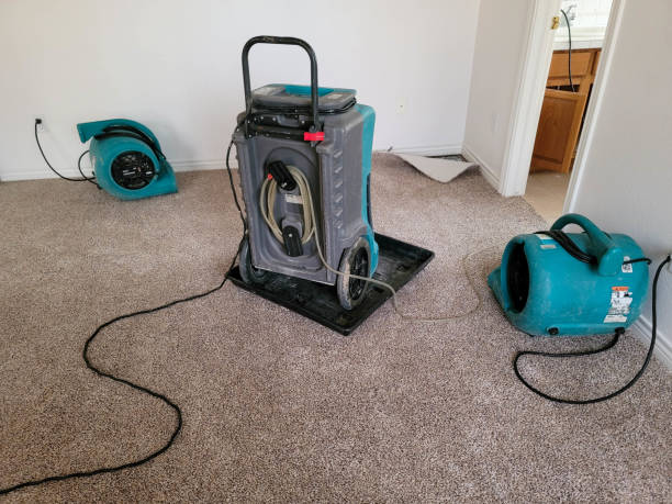  Carpendale, WV Water damage restoration Pros