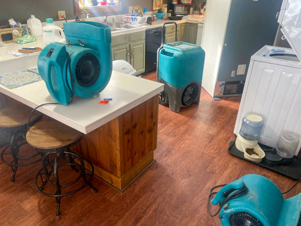 Best Basement water damage restoration  in Carpendale, WV