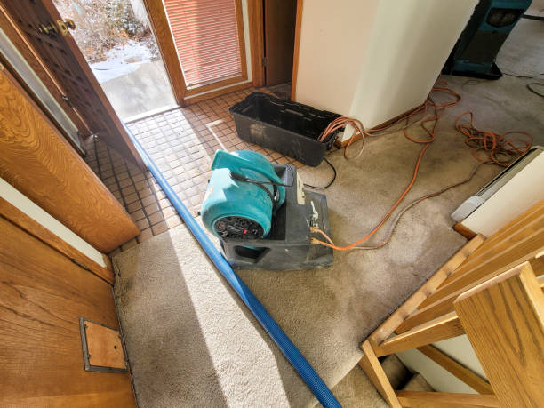 Best Flooded house restoration  in Carpendale, WV
