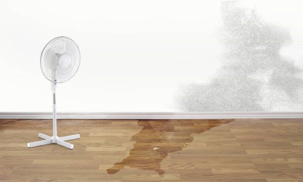 Best Residential water damage restoration  in Carpendale, WV