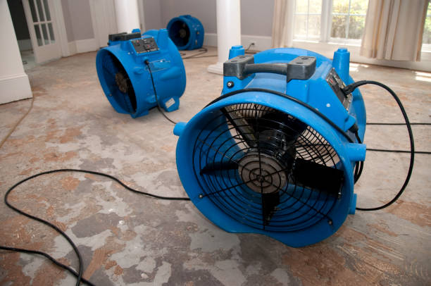 Best Residential water damage restoration  in Carpendale, WV