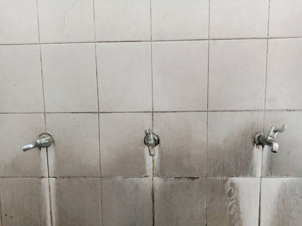 Best Water damage restoration near me  in Carpendale, WV