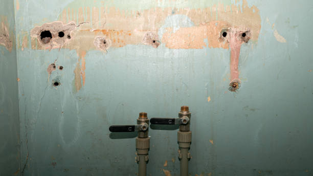 Best Sewage cleanup and water damage restoration  in Carpendale, WV
