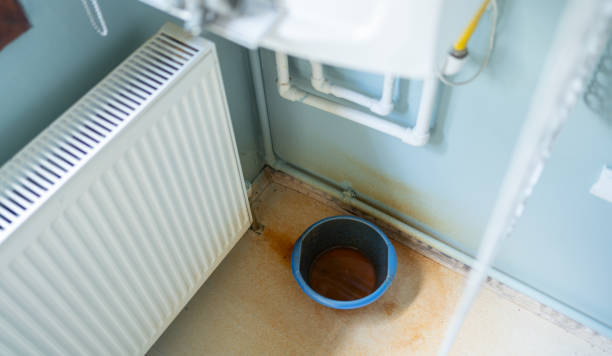 Best Water damage restoration experts  in Carpendale, WV
