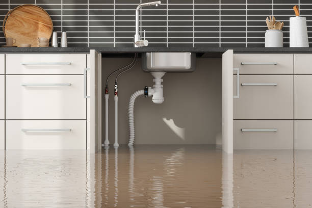 Best Ceiling water damage repair  in Carpendale, WV
