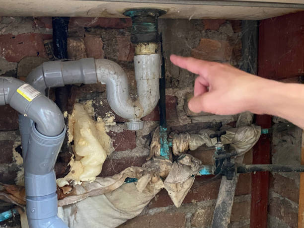 Best Water damage restoration near me  in Carpendale, WV