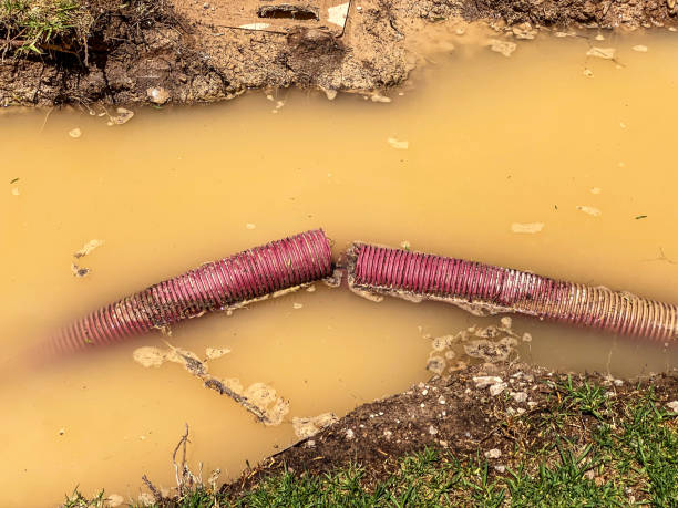Best Sewage cleanup and water damage restoration  in Carpendale, WV