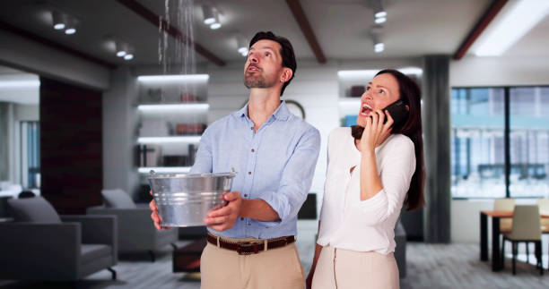 Best Flood restoration services  in Carpendale, WV