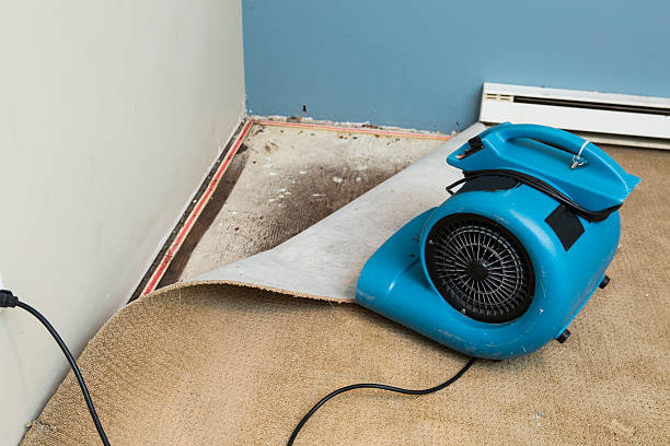 Local water damage restoration in Carpendale, WV
